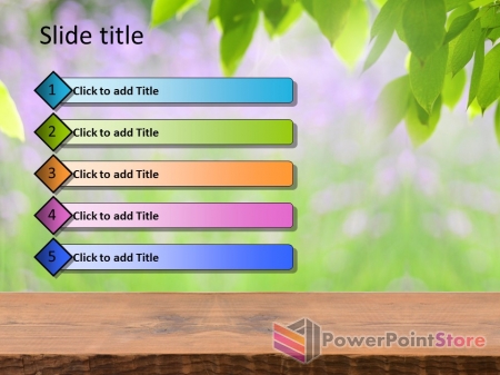 ������ ����������� �������� ���� - �������� �����