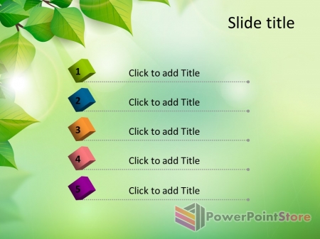 ������ ����������� ���� ������ ������ - �������� �����