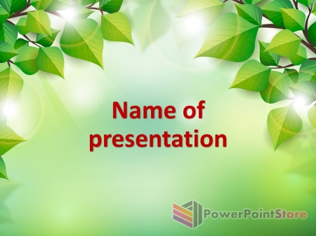 ���� ������ ������