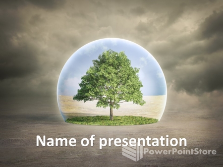 ������������� ����