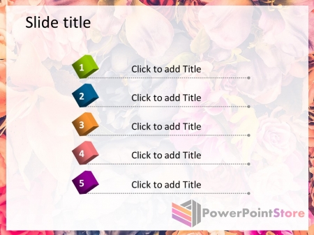 ������ ����������� ��������� ����� - �������� �����