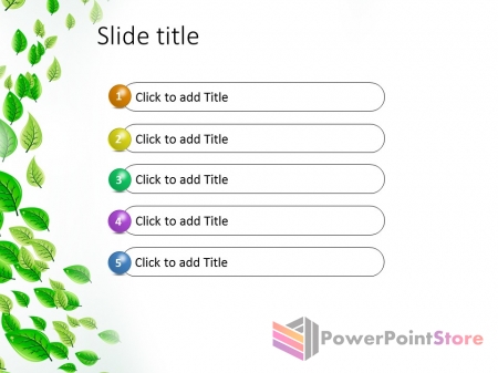 ������ ����������� ����� ������� - �������� �����