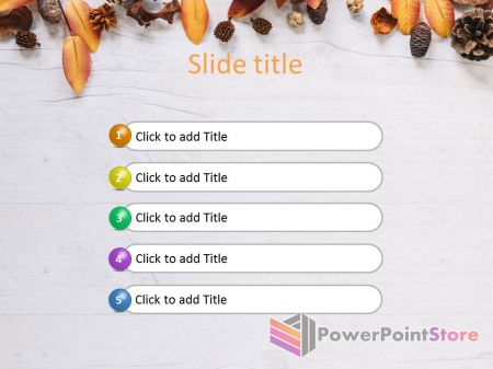 ������ ����������� ������� ����� - �������� �����