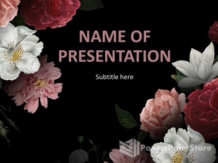 ������ �����