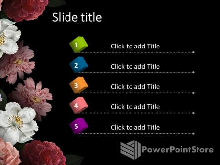 ������ ����������� ������ ����� - �������� �����