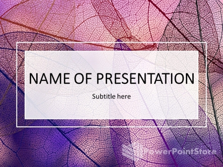 �������������� ������