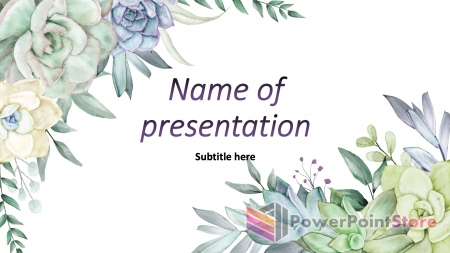 ���������